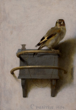 The Goldfinch, Carel Fabritius