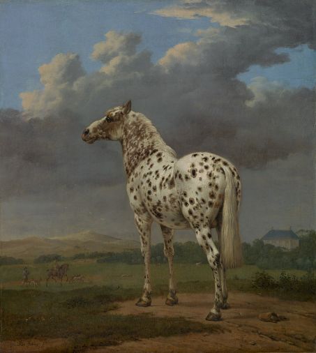 Paulus Potter, The Piebald Horse