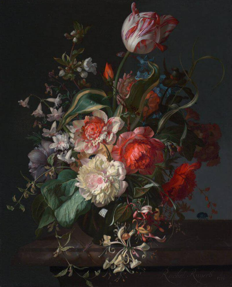 Flowers in a Glass Vase with a Tulip, Rachel Ruysch