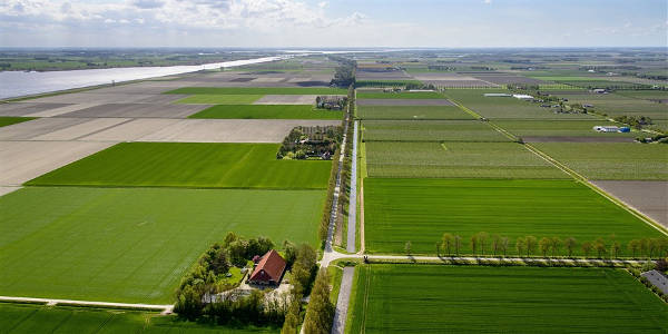 Dutch polders