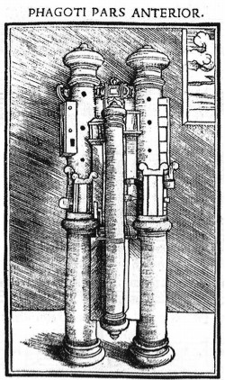 Front view of a Phagotum