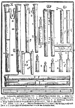 Plate X from Michael Praetorius'